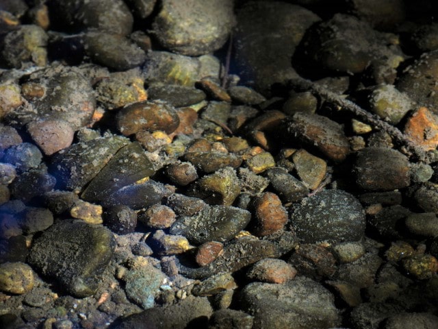 rocks